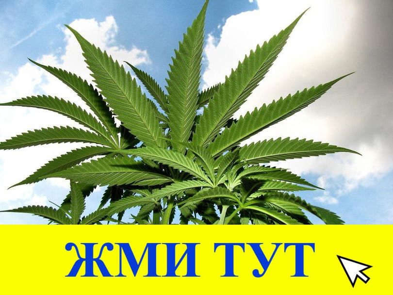 Купить наркотики в Тынде